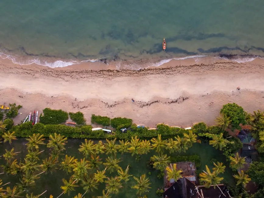 Producers of ‘Love Story’ Discuss Balancing Heart and History in JFK Jr. and Carolyn Bessette's Final Episode placeholder image