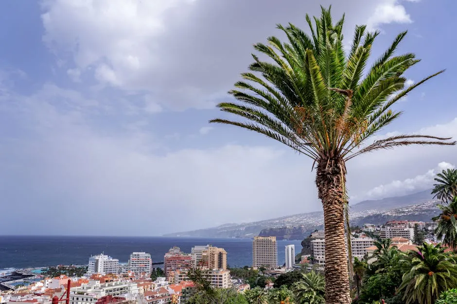 Australia’s Central Bank Raises Rates to Nearly One-Year High Amid Persistent Inflation Concerns placeholder image