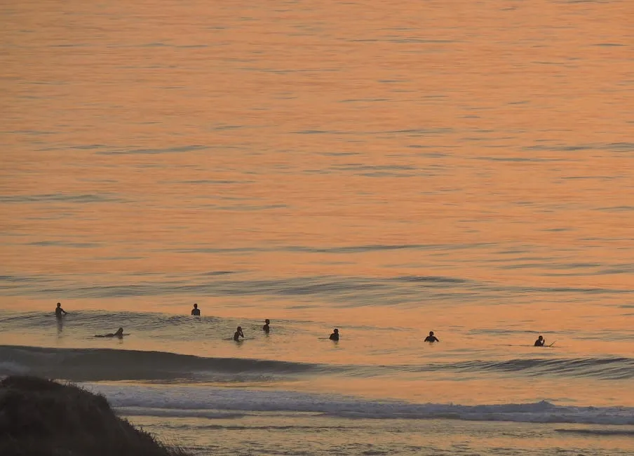 Trump Reflects on Violence: "I Hate to Say I'm Honored" by Impact on Society placeholder image